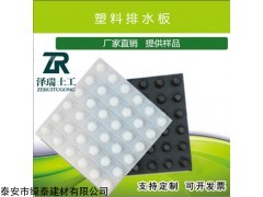 0.8-6.0cm規(guī)格齊全 南充車庫頂板濾水板|虹吸排水板現貨