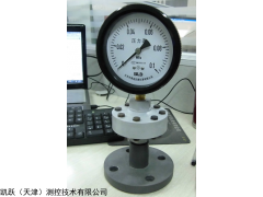 PTS-100 布莱迪全塑隔膜压力表
