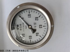 YTN-100HZ 布萊迪不銹鋼壓力表