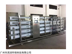 BR-0.5T 从化保健品行业用纯化水设备