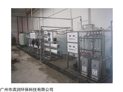 BR-0.25T 汕尾药厂用EDI纯水设备系统