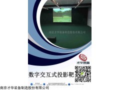 DT-4型 3D影像靶   实弹射击像靶