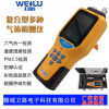 WL-1000/2000/3000 工业用液氨气体报警器