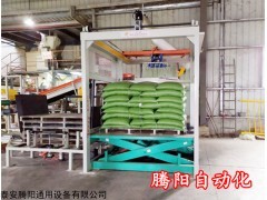 TY 腾阳全自动码垛机器人