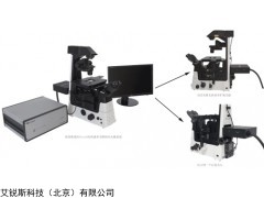 Tweez300 高速多光阱納米光鑷與測力平臺