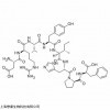 Angiotensin II human 