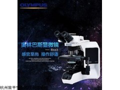 BX43 生物显微镜