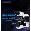 BX43 生物显微镜