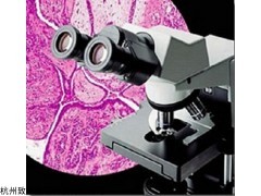 CX31生物显微镜