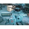 IS30K-24C-1B 智能防爆型電動裝置