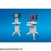 SRD-11 數(shù)字式醫(yī)療版紅外熱成像檢測儀