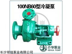 100NB60 冷凝泵 凝结水泵