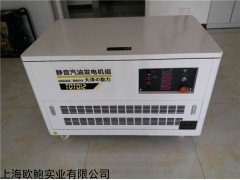 TOTO12 12kw静音汽油发电机