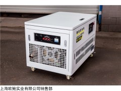 TOTO15 15千瓦汽油发电机全自动