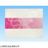 人DNA修复基因XRCC1ELISA试剂盒