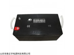 賽特BT-HSE-55-12 蓄電池12V55AH應(yīng)急照明