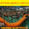 kx-2000 kx2000胡萝卜饮料小型生产线 果蔬汁灌装生产设备