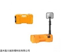 FW6116輕便式移動工作燈 鑫川越-FW6116輕便式移動工作燈-廠家直銷