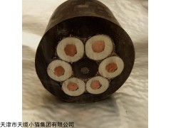 BPVVP3*95+3*16变频器电缆