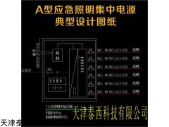 HW-D-0.5KVA-NF11 A型應急照明集中電源箱CCCF認證回路控制模塊