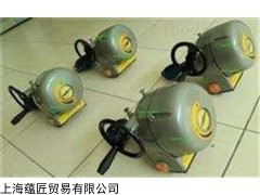 意大利BIFFI電動(dòng)執(zhí)行機(jī)構(gòu)