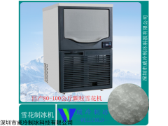 SD-100 火鍋店海鮮刺身日產(chǎn)100公斤雪花制冰機(jī)