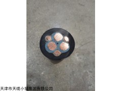 生产优质BPVVP变频器电缆