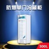 BL-200LC300L 英鹏防爆双门冰箱 冷藏化学实验室制药厂