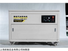 大泽动力 30千瓦汽油发电机四缸水冷