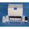 48t/96t 猪γ干扰素(IFN-γ)ELISA试剂盒使用说明书