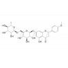 钠钶锂 香蜂草苷  CAS：14259-47-3
