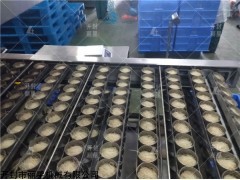 丽星酸辣粉加工设备 酸辣粉丝生产线