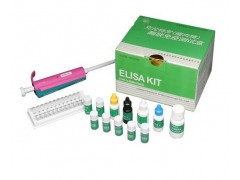 48t/96t 人抗凝血酶Ⅲ抗体(AT-Ⅲ)ELISA kit