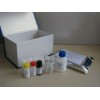 48t/96t 人脑啡肽(ENK)ELISA kit