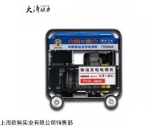 大泽动力 280A柴油发电电焊机带照明