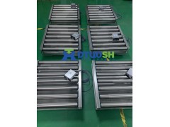 DT 300KG动态滚筒台秤
