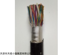 市内通信电缆HYA150*2*0.5价格