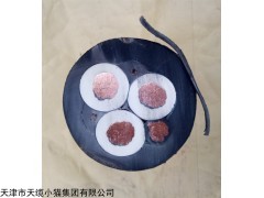 沈阳cefr船用橡套电缆制作标准