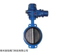 D971J 电动全衬胶蝶阀D971J