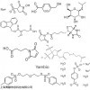 交聯(lián)劑 Sulfo-NHS Biotin-NHS