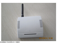 GPRS-WS 無線溫濕度變送器