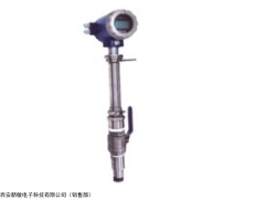 LDC插入式电磁流量计