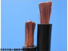 JBHF50平方电机绕组引接电缆