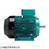 brook crompton直流电机