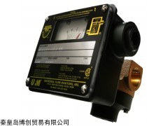 12-8 UFM流量计