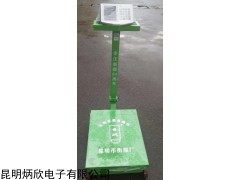 TCS-AC/AE 帶輪子電子臺秤昆明批發(fā)