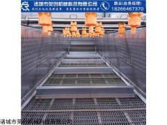 CR-75236 蔬菜气泡清洗机  黄桃喷淋清洗设备