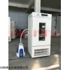LRH-300-MS 泰宏霉菌培养箱LRH-300-MS