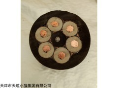 南宁供应CEFR/8F船用橡套电缆价格