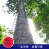 景区公园仿生树避雷针塔